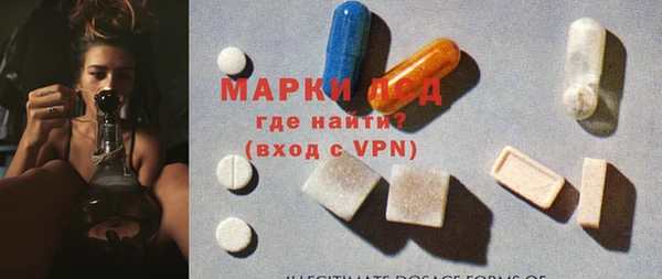 гашик Новодвинск