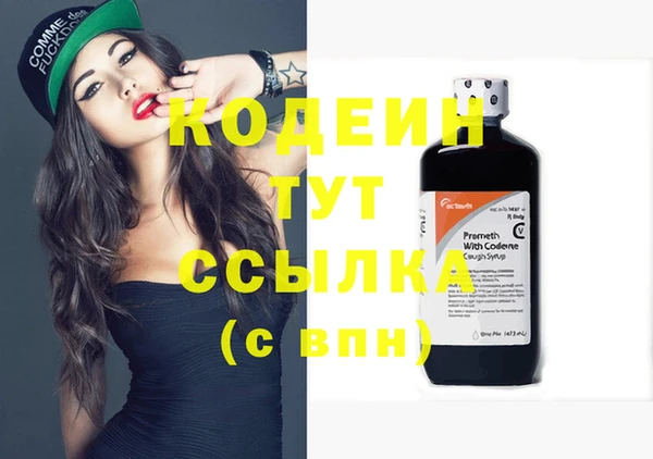 гашик Новодвинск