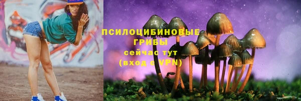 гашик Новодвинск