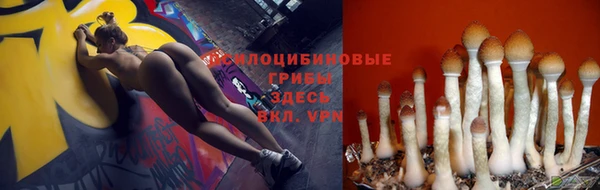 марки lsd Новозыбков