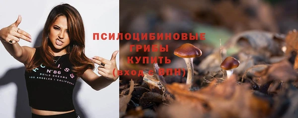 молекула духа Бутурлиновка
