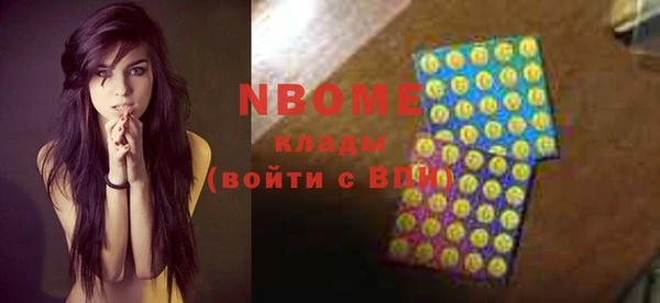 гашик Новодвинск