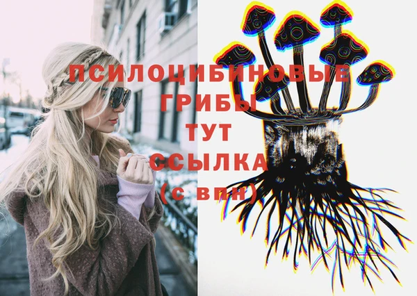 марки lsd Новозыбков