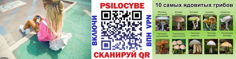 Галлюциногенные грибы MAGIC MUSHROOMS  закладка  МЕГА ССЫЛКА  Холм 